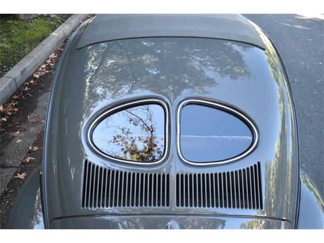 1953 Volkswagen Beetle (CC-1817690) for sale in Roanoke, Texas