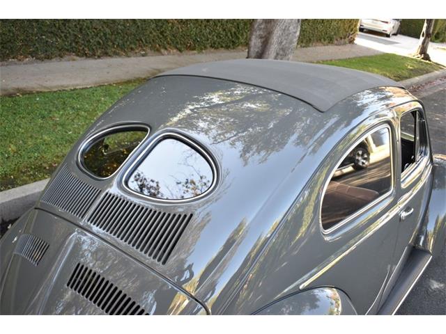 1953 Volkswagen Beetle (CC-1817690) for sale in Roanoke, Texas