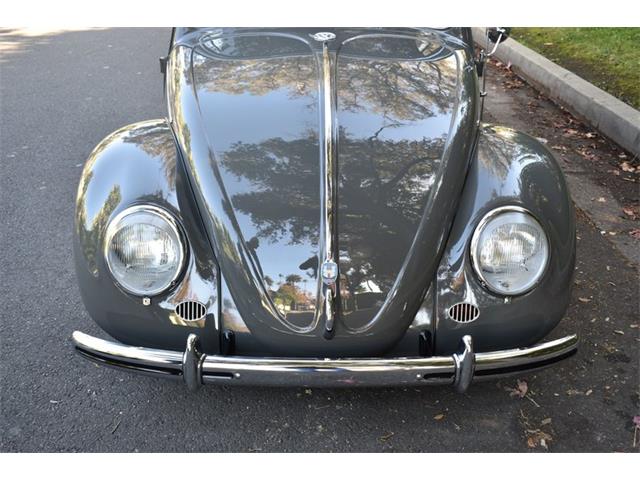 1953 Volkswagen Beetle (CC-1817690) for sale in Roanoke, Texas