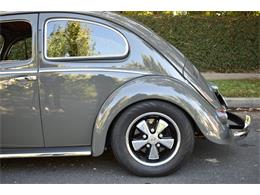 1953 Volkswagen Beetle (CC-1817690) for sale in Roanoke, Texas