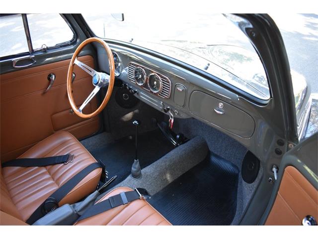 1953 Volkswagen Beetle (CC-1817690) for sale in Roanoke, Texas