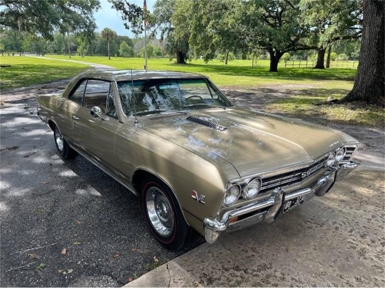 1967 Chevrolet Chevelle for Sale | ClassicCars.com | CC-1817811