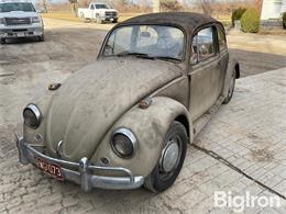 1967 Volkswagen Beetle (CC-1818080) for sale in , 