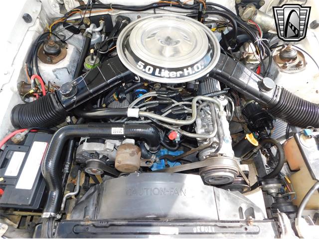 1982 Mercury Capri (CC-1818490) for sale in O'Fallon, Illinois