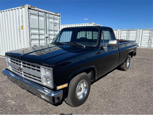 1981 Chevrolet C/K 10 (CC-1818547) for sale in Cadillac, Michigan