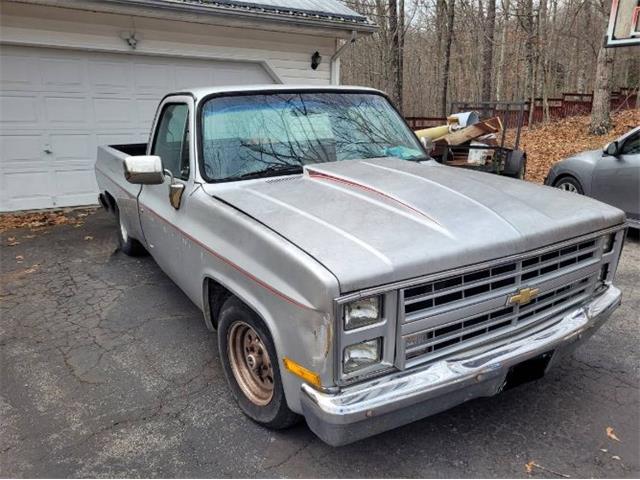 1987 Chevrolet Pickup (CC-1819160) for sale in Cadillac, Michigan