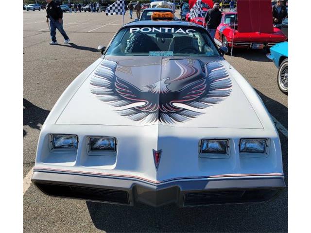 1980 Pontiac Firebird Trans Am (CC-1819816) for sale in Cadillac, Michigan