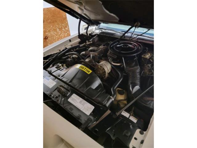 1980 Pontiac Firebird Trans Am (CC-1819816) for sale in Cadillac, Michigan