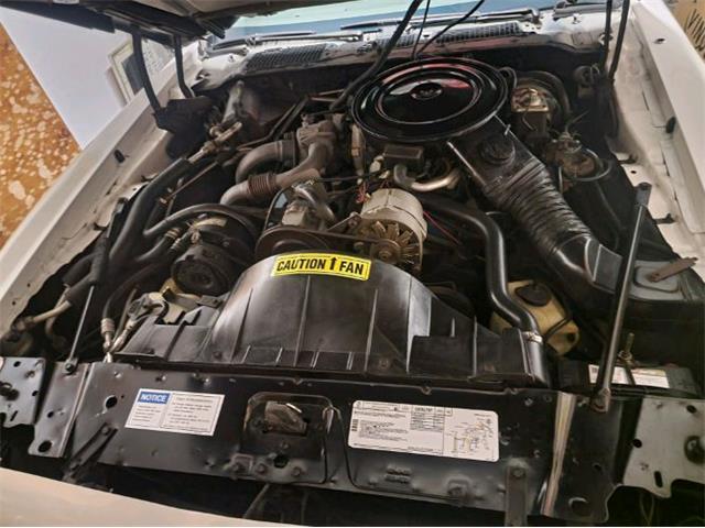 1980 Pontiac Firebird Trans Am (CC-1819816) for sale in Cadillac, Michigan