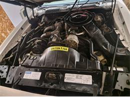 1980 Pontiac Firebird Trans Am (CC-1819816) for sale in Cadillac, Michigan