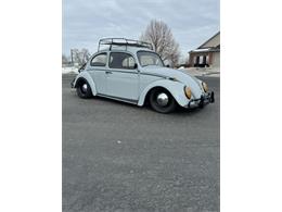 1964 Volkswagen Beetle (CC-1819842) for sale in Cadillac, Michigan