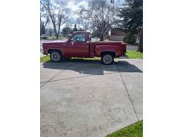 1977 Chevrolet Silverado (CC-1819849) for sale in Cadillac, Michigan