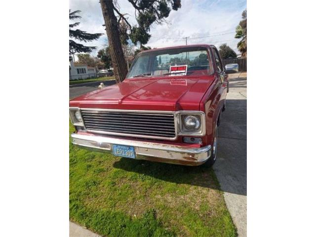 1977 Chevrolet Silverado (CC-1819849) for sale in Cadillac, Michigan