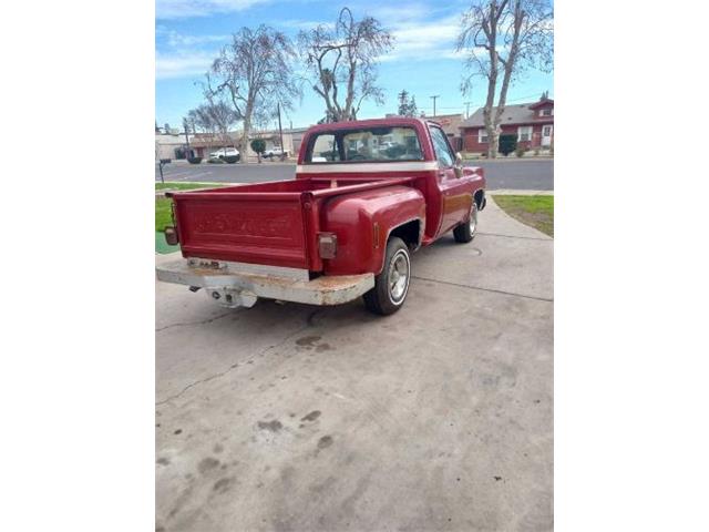 1977 Chevrolet Silverado (CC-1819849) for sale in Cadillac, Michigan