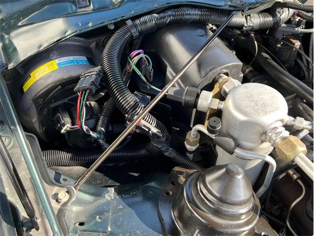1992 Pontiac Firebird Trans Am (CC-1821070) for sale in Springfield, Massachusetts