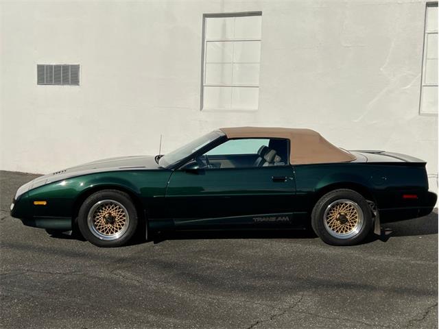 1992 Pontiac Firebird Trans Am (CC-1821070) for sale in Springfield, Massachusetts