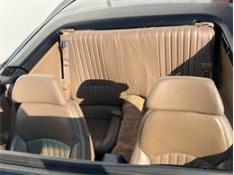 1992 Pontiac Firebird Trans Am (CC-1821070) for sale in Springfield, Massachusetts