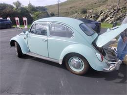 1966 Volkswagen Beetle (CC-1821131) for sale in SLO, California