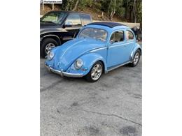 1952 Volkswagen Beetle (CC-1822217) for sale in Cadillac, Michigan