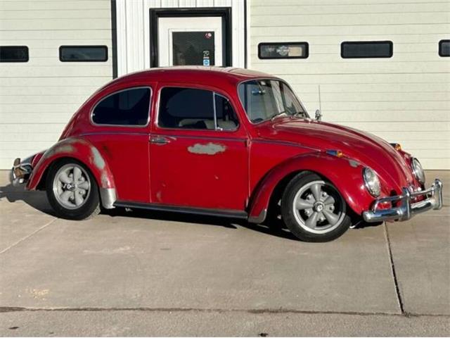 1965 Volkswagen Beetle (CC-1822248) for sale in Cadillac, Michigan