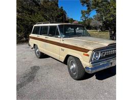 1974 Jeep Wagoneer (CC-1822296) for sale in Cadillac, Michigan
