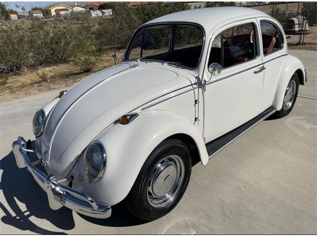 1966 Volkswagen Beetle for Sale | ClassicCars.com | CC-1822352