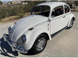 1966 Volkswagen Beetle (CC-1822352) for sale in Punta Gorda, Florida