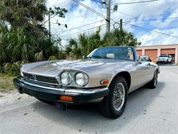 1991 Jaguar XJS (CC-1823217) for sale in Pompano Beach, Florida
