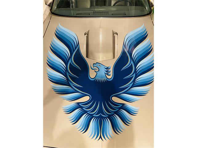 1979 Pontiac Firebird Trans Am (CC-1823258) for sale in Sherwood, Oregon