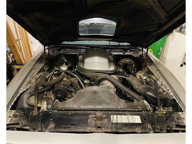 1979 Pontiac Firebird Trans Am (CC-1823258) for sale in Sherwood, Oregon