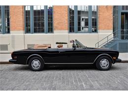 1989 Bentley Continental (CC-1823491) for sale in New York, New York