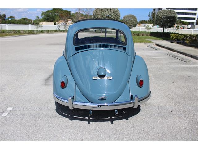 1959 Volkswagen Beetle (CC-1823740) for sale in O'Fallon, Illinois