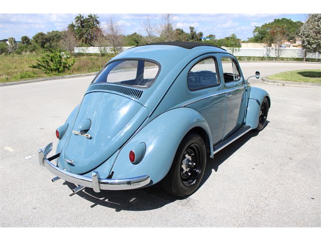 1959 Volkswagen Beetle (CC-1823740) for sale in O'Fallon, Illinois