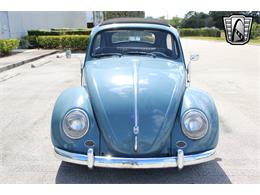 1959 Volkswagen Beetle (CC-1823740) for sale in O'Fallon, Illinois