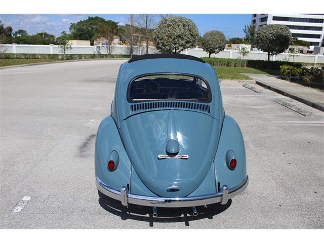 1959 Volkswagen Beetle (CC-1823740) for sale in O'Fallon, Illinois