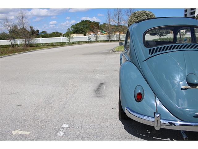 1959 Volkswagen Beetle (CC-1823740) for sale in O'Fallon, Illinois