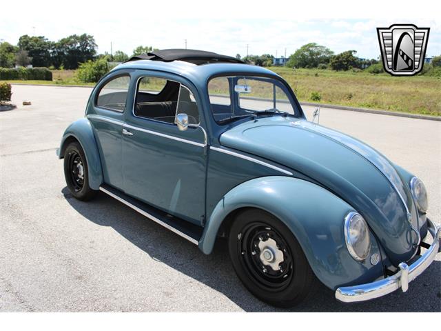 1959 Volkswagen Beetle (CC-1823740) for sale in O'Fallon, Illinois