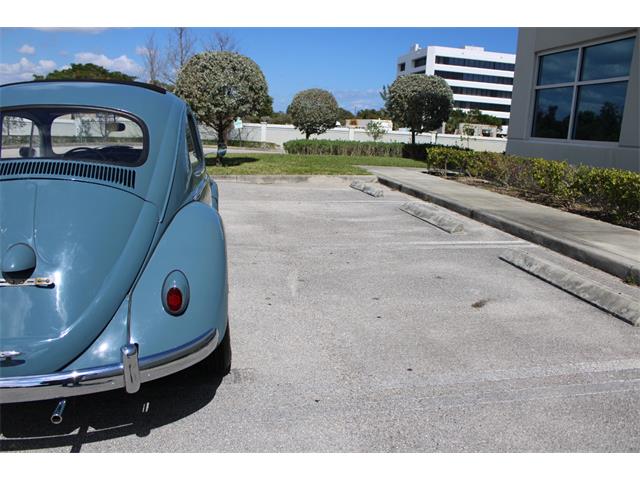 1959 Volkswagen Beetle (CC-1823740) for sale in O'Fallon, Illinois