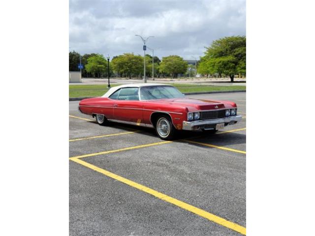 1973 Chevrolet Caprice (CC-1824607) for sale in Cadillac, Michigan