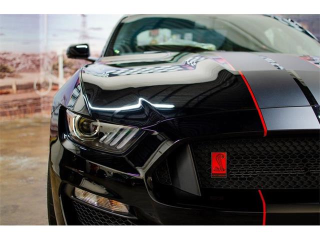 2017 Shelby GT350 (CC-1824735) for sale in Bristol, Pennsylvania
