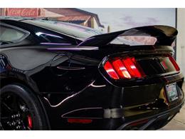 2017 Shelby GT350 (CC-1824735) for sale in Bristol, Pennsylvania