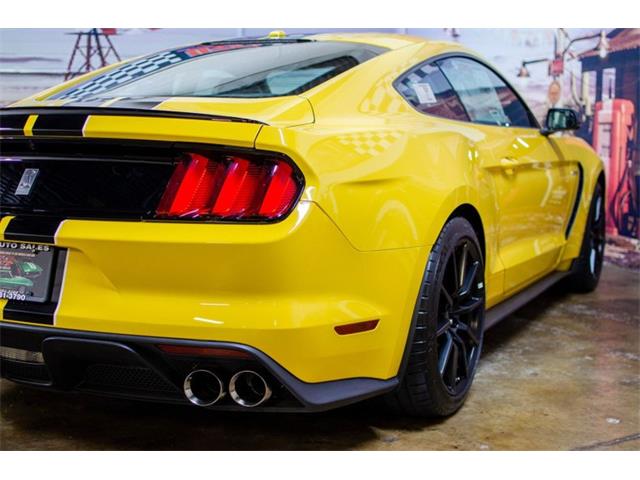 2016 Shelby GT350 (CC-1824772) for sale in Bristol, Pennsylvania