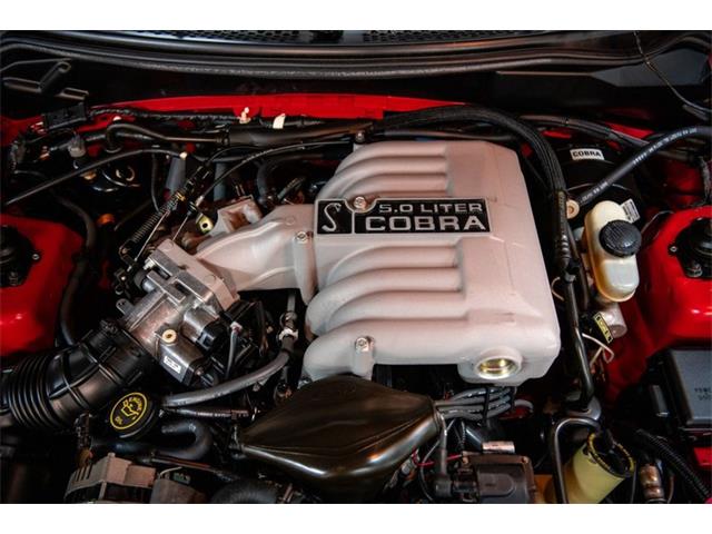 1994 Ford Mustang SVT Cobra (CC-1824821) for sale in Bristol, Pennsylvania