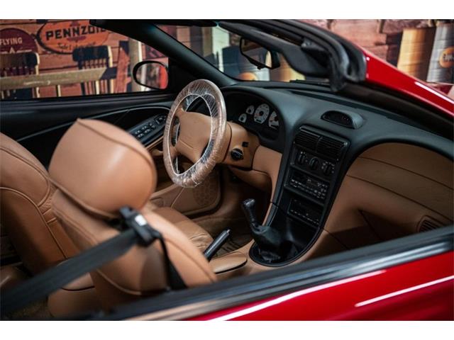 1994 Ford Mustang SVT Cobra (CC-1824821) for sale in Bristol, Pennsylvania