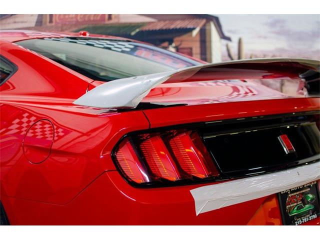2016 Shelby GT350 (CC-1824839) for sale in Bristol, Pennsylvania