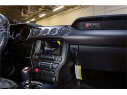 2016 Shelby GT350 (CC-1824839) for sale in Bristol, Pennsylvania