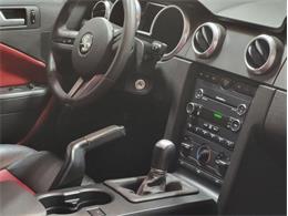 2008 Shelby GT500 (CC-1824848) for sale in Bristol, Pennsylvania