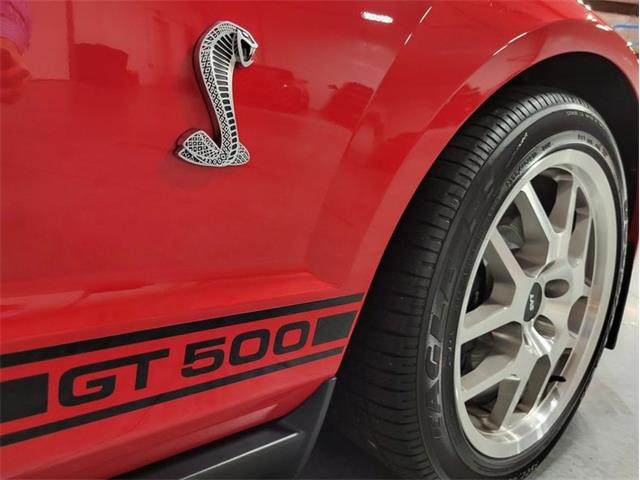 2008 Shelby GT500 (CC-1824848) for sale in Bristol, Pennsylvania