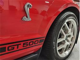 2008 Shelby GT500 (CC-1824848) for sale in Bristol, Pennsylvania