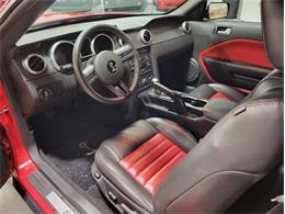 2008 Shelby GT500 (CC-1824848) for sale in Bristol, Pennsylvania